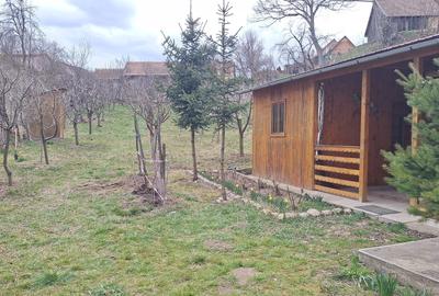 Casă cu 1 camere în Exterior Vest - 6