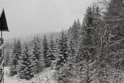 Predeal teren intravilan 4351 mp - 5