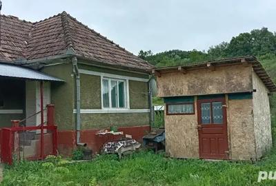 Vand casa in satul Nasal judetul Cluj Napoca , curte si gradina, total suprafa?a 22 de arii