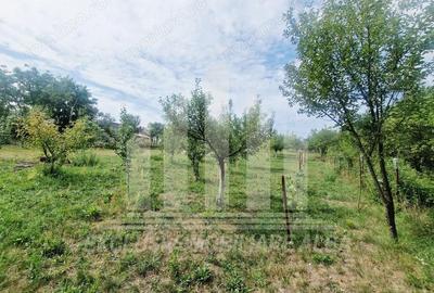 Casa noua cu gradina in Paclisa - 11