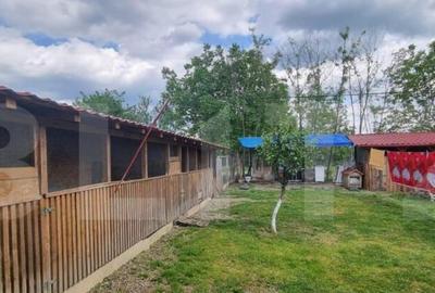 Casă cu 4 camere cu Teren 1800 Mp în Central - 6