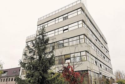 Birou, de 93 mp, în Plevnei - 6