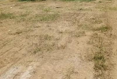 Teren de 3500 mp, în Theodor Pallady - 3