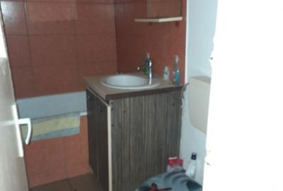 Apartament cu 2 camere semidecomandat în Paltin - 8
