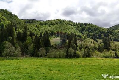 Teren în Sătic