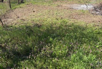 Teren de 376 mp, în Exterior Vest - 2