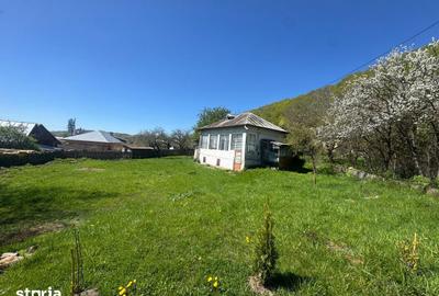 Teren de 1002 mp, în Valea Mare - 17