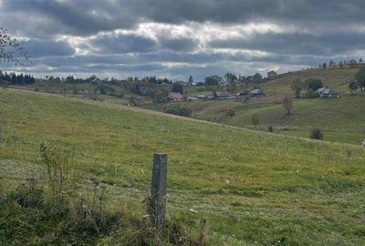 Teren de 14000 mp, în Măguri - 3