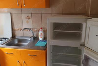 Vand garsoniera Colentina,Doamna Ghica,Teiul Doamnei - 6