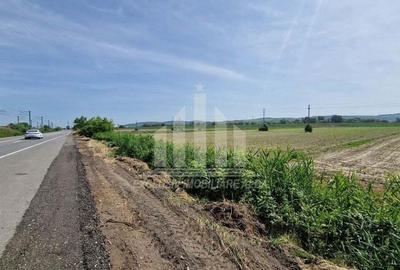 Teren pentru constructii industriale pe soseaua de centura - 2