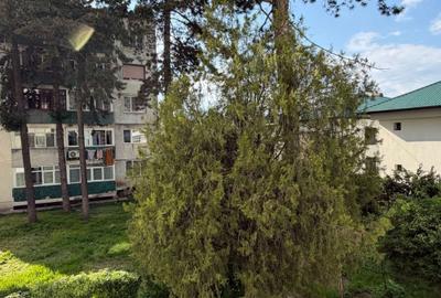 Apartament cu 2 camere decomandat în Central - 3