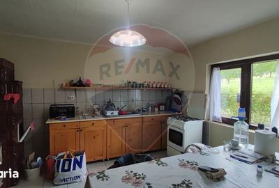 Casă cu 4 camere cu Teren 11769 Mp în Bulz - 6