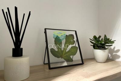 Garsoniera renovata modern str Nada Florilor - Teiul Domnei - 41