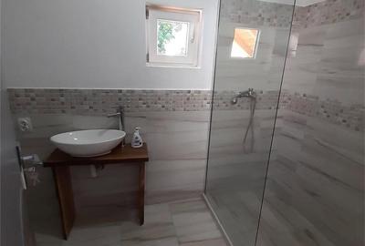 Casă cu 2 camere în Cârțișoara - 4