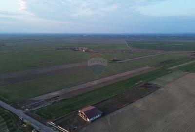 Teren Construcții intravilan de 12360 mp, în Boțârlău - 4