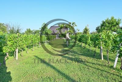 Casa cu piscina de vanzare | 3.300 mp teren | Urlati - Prahova - 21