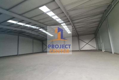 Hala industriala, Bradu, DN 65B - 10