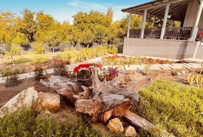 Casă cu 5 camere cu Teren 1000 Mp în Bucium - 12