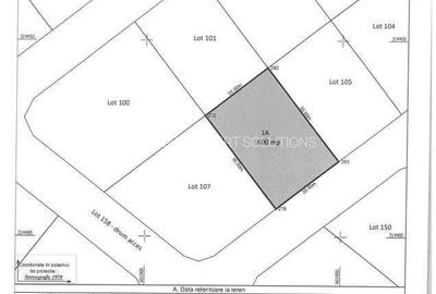 Spațiu comercial, în Frumușani