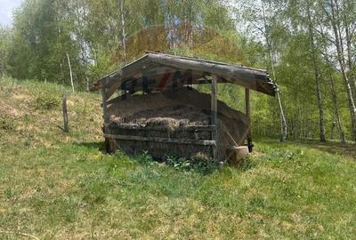 Casă cu 14 camere cu Teren 62330 Mp în Horea - 51