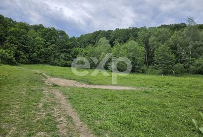 Teren agricol extravilan de 11935 mp, în Mărgineni - 7