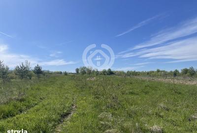 Teren de 1200 mp, în Poplaca - 3