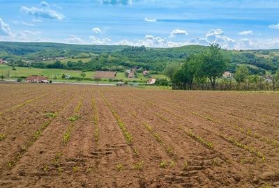 Teren intravilan de 500 mp, în Hidișelu de Jos - 1