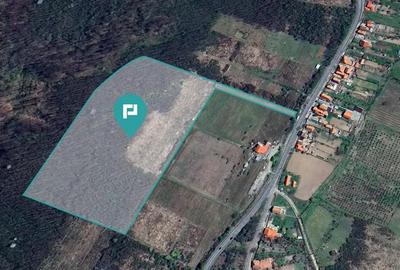 Teren de vanzare 5,47 ha | Dealul Viilor, Lugoj - 3