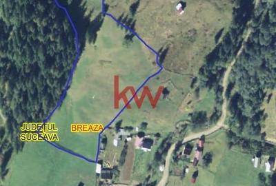 Teren Intravilan 11.844 MP, Breaza, Jud. Suceava - 3