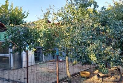 Casă cu 4 camere în Terpezița - 3