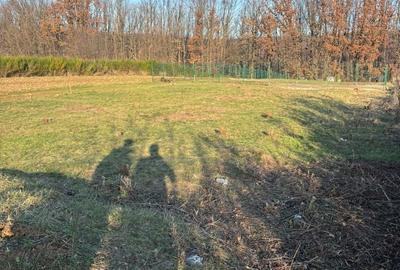 Spațiu comercial, în Moșoaia - 4