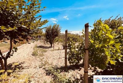 Casă de vânzare în sat I.C. Brătianu, județul Tulcea. Casă de vânzare în sat I.C. Brătianu, județul Tulcea. - 12