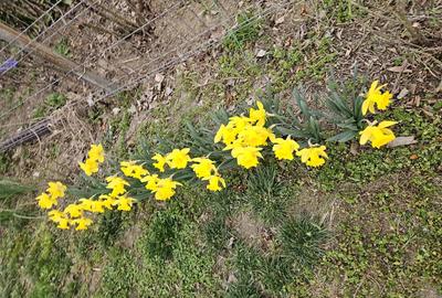 Casa 150 m renovata 2025 - 6