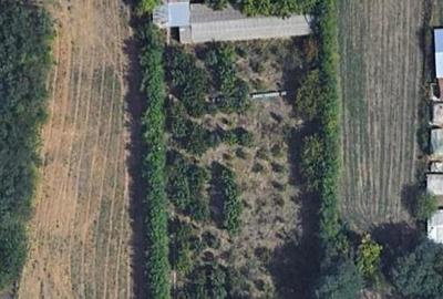 Teren de 4400 mp, în Ceacu - 3