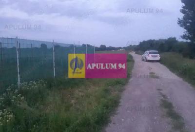 Teren de 3820 mp, în 1 Decembrie - 4