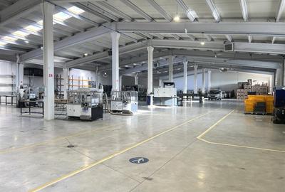 Hala moderna / Productie / Depozitare - 3