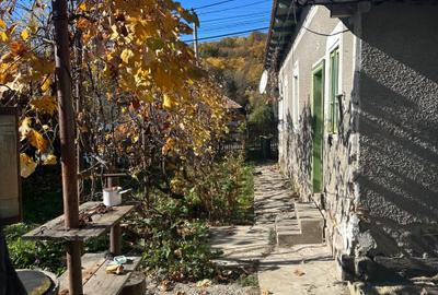 Casă cu 4 camere în Cotmeana - 5