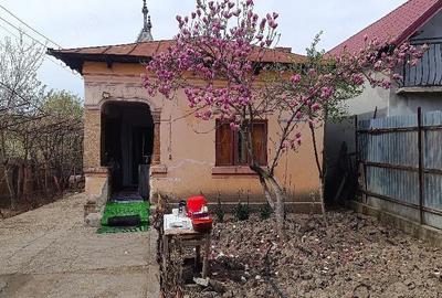 Casă cu 3 camere cu Teren 1200 Mp în Sutești - 2