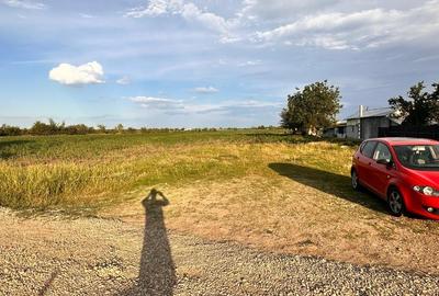 Teren Construcții intravilan de 9100 mp, în Răcari - 2