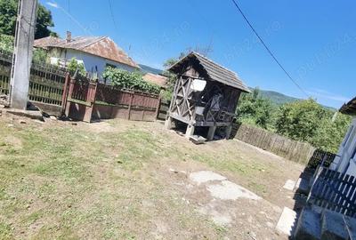 Casă cu 1 camere cu Teren 15000 Mp în Central - 3