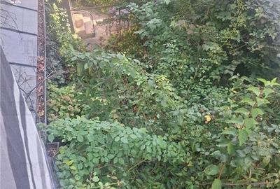 Apartament cu teren privat in proprietate. stefan cel mare - 14