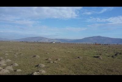 Spațiu comercial, în Prejmer - 3