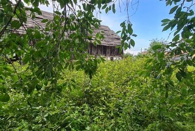 Teren (2000mp) - Casă istorică cu cerdac - Livadă - Intravilan Teren (2000mp) - Casă istorică cu cerdac - Livadă - Intravilan - 15