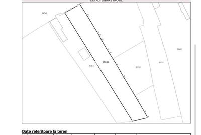 Teren 1 012 Mp Intravilan de Vanzare, Nazna, Str Principala, Caparol - 2