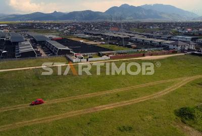 Teren de 600 mp, în Tărlungeni - 6