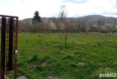 Teren de 2750 mp, în Aninoasa - 4