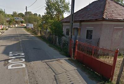 🌳 Teren de 10.565 mp cu casă bătrânească în Coasta Cerbului, Slătioara – Valcea - 2