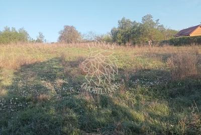 Teren agricol intravilan de 12614 mp, în Ghirolt - 3