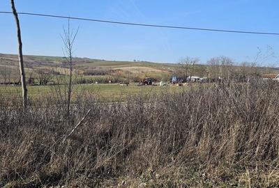 Teren de 1500 mp, în Cetariu - 2