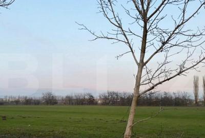 Teren, 594 mp, dubla deschidere, zona Braniste - 3